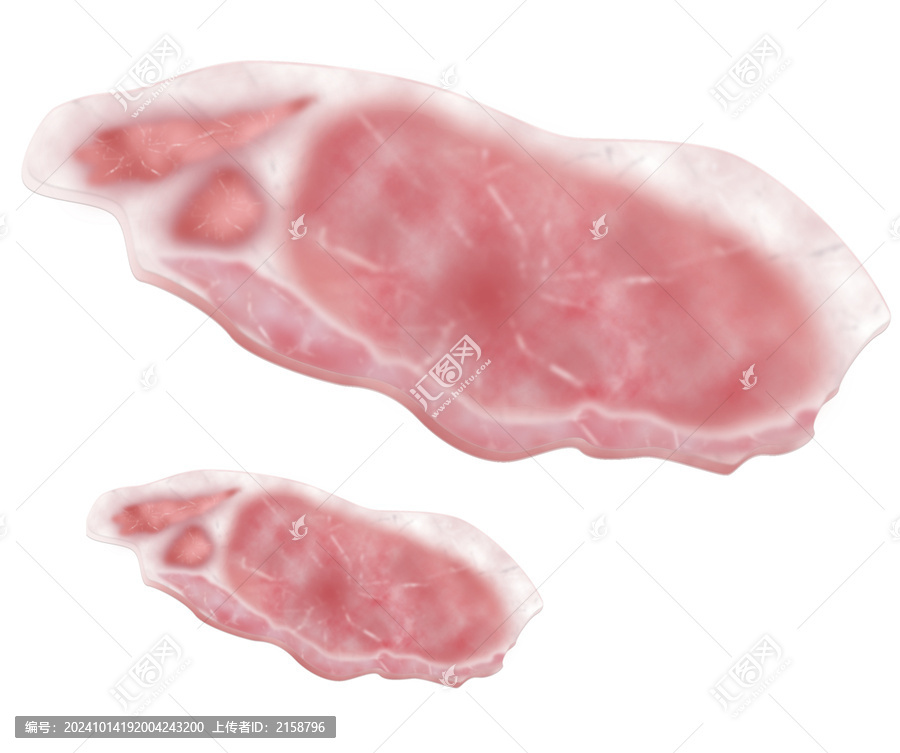 矢量豬肉