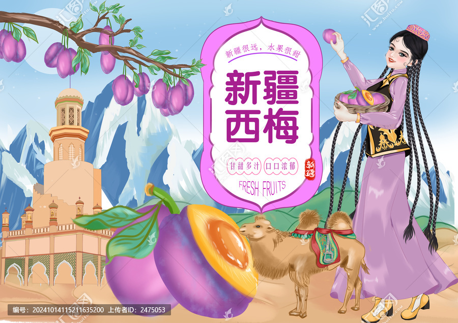 新疆西梅包裝插畫