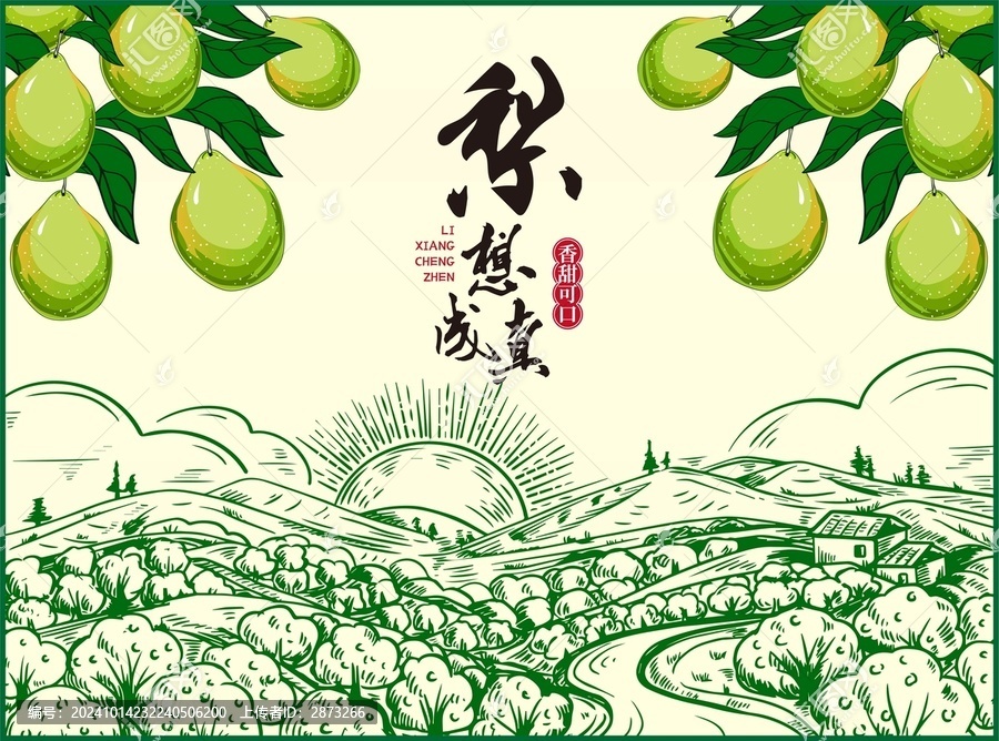 香梨包裝