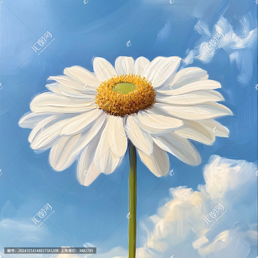 雛菊