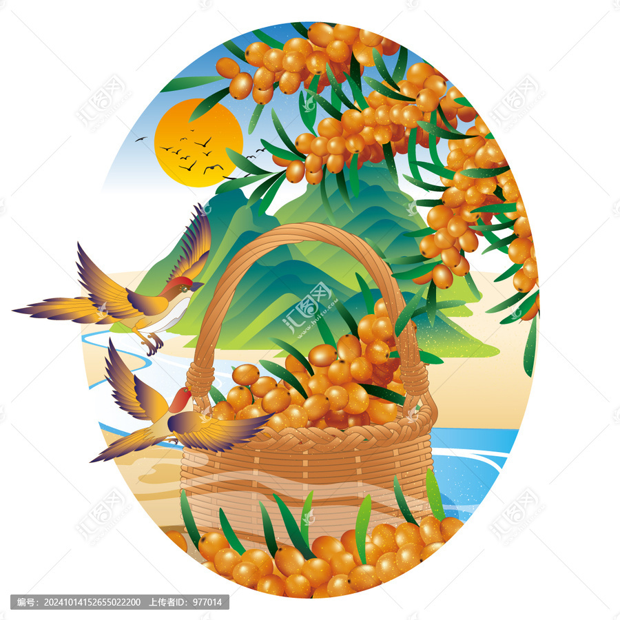 沙棘插畫