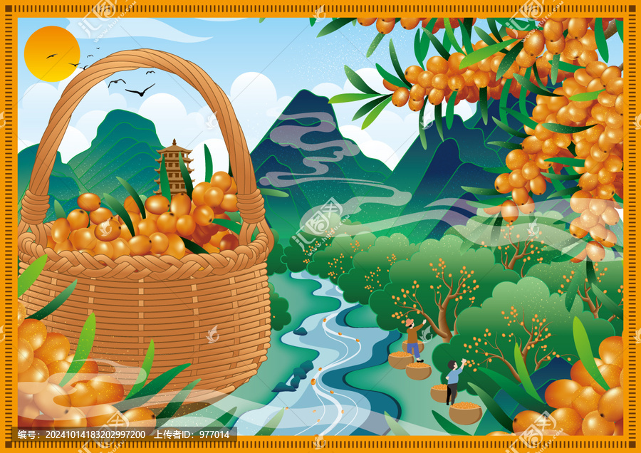 沙棘插畫