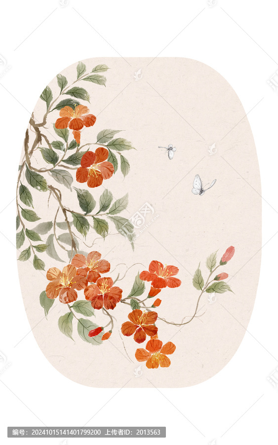 唯美凌霄花插畫