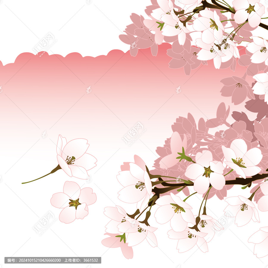 櫻花