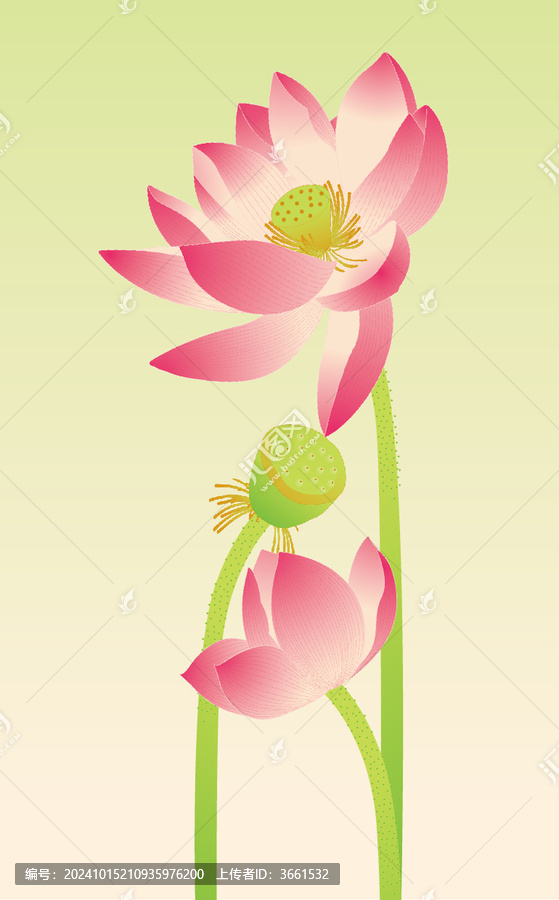 荷花蓮蓬ai元素