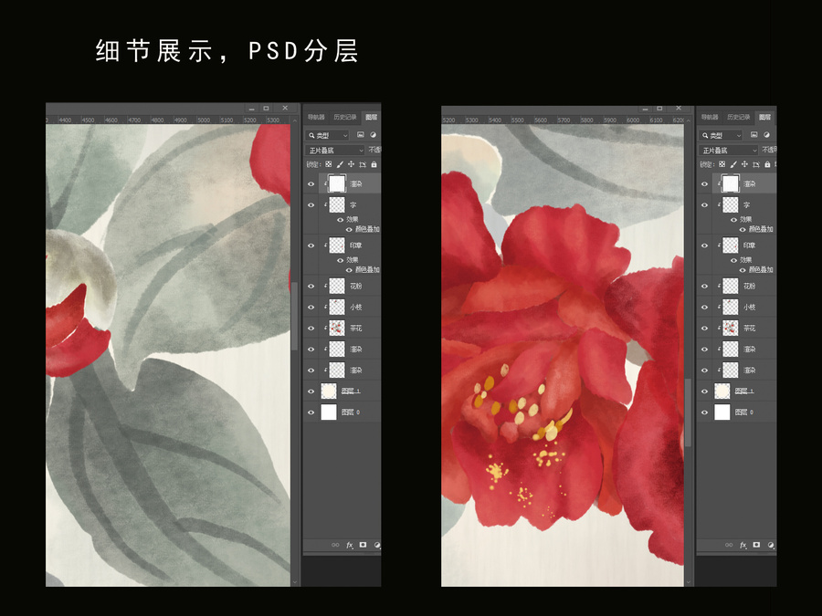 水墨茶花插畫