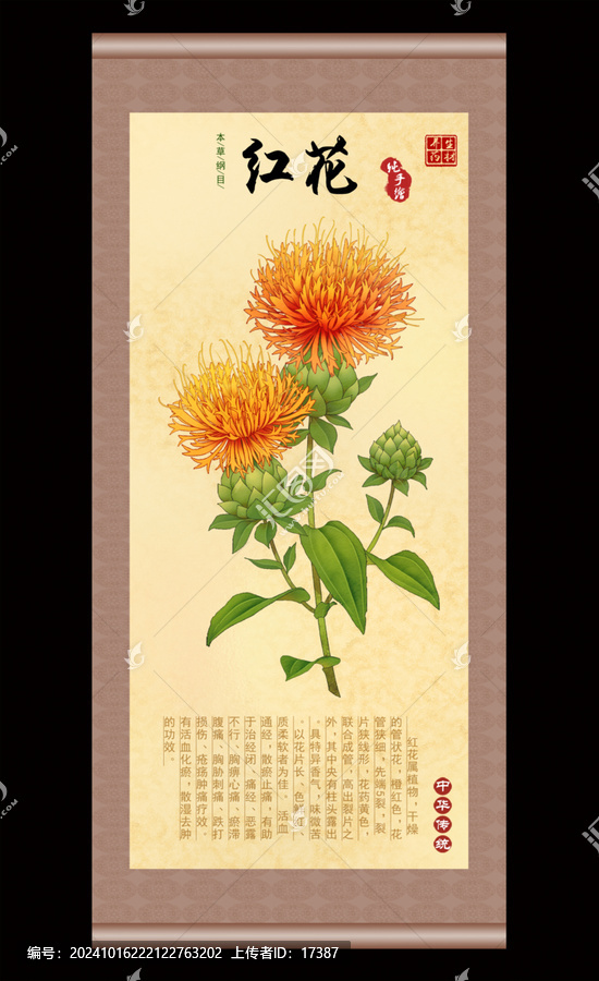 紅花插畫