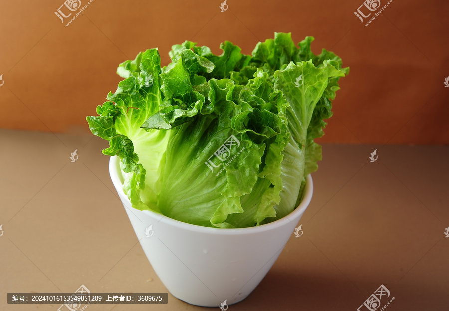 生菜
