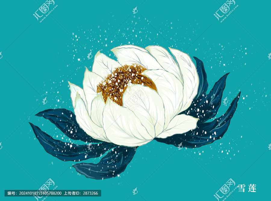 雪蓮插畫