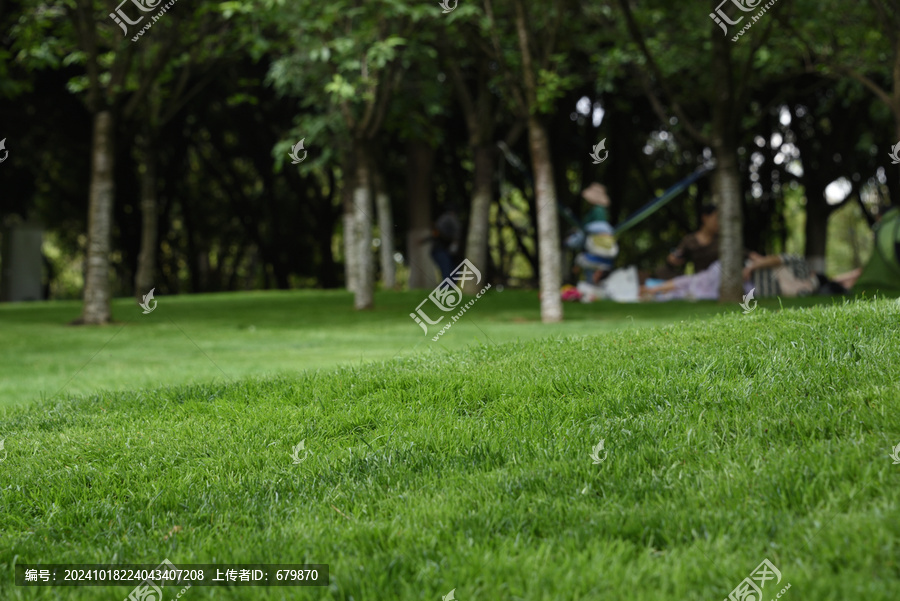 公園綠地