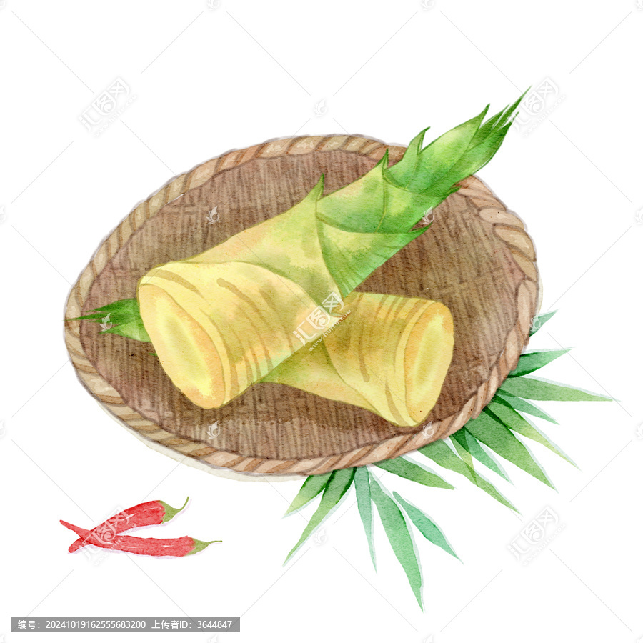 水彩手繪春天竹筍春筍