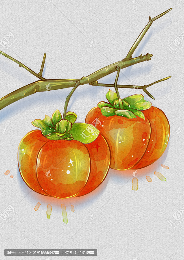 手繪柿子插畫