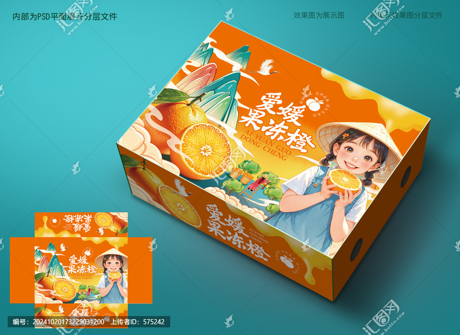 橙子包裝插畫(huà)
