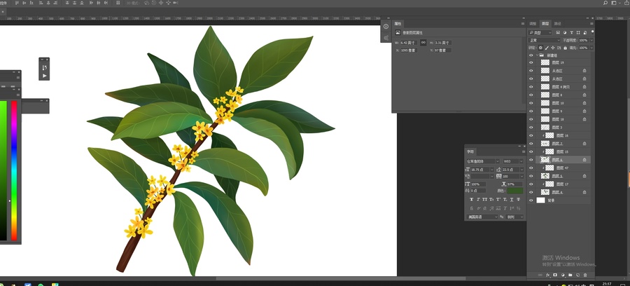 桂花插畫