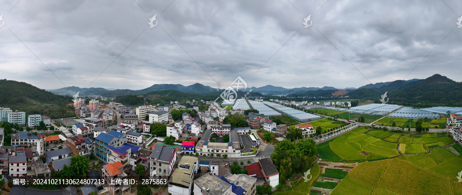 信豐縣大橋鎮(zhèn)全景圖