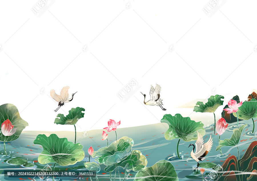 荷花