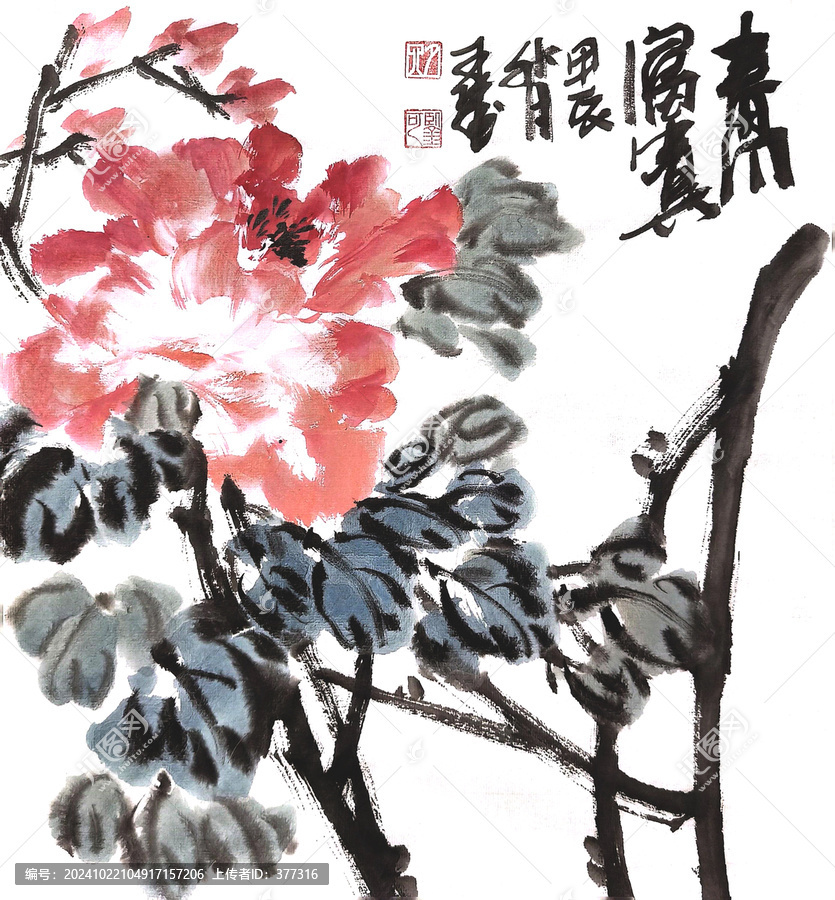 寫意牡丹花