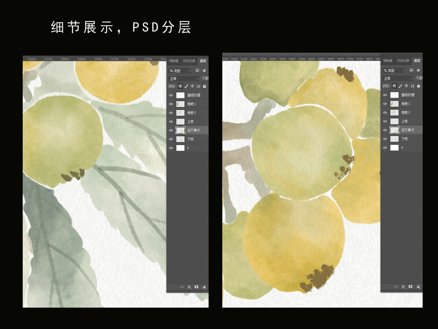 枇杷插畫