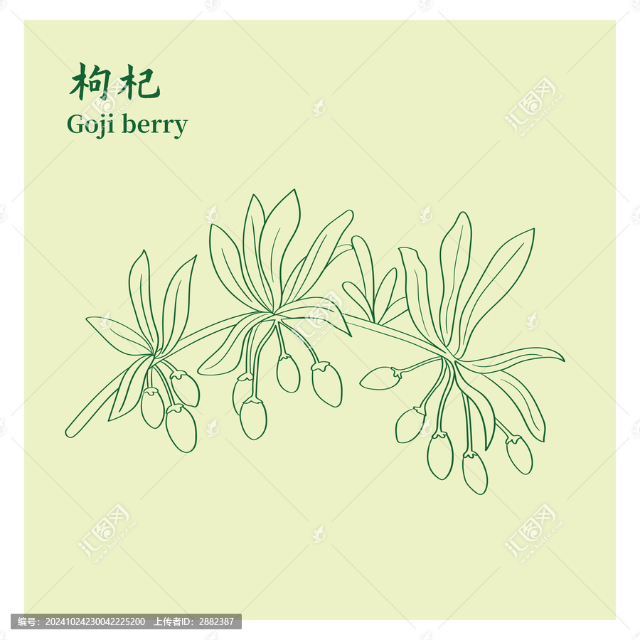 枸杞