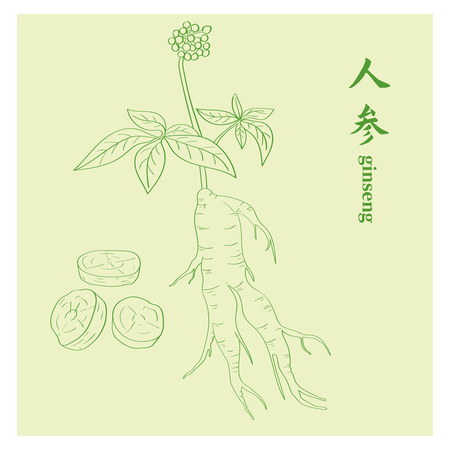 人參