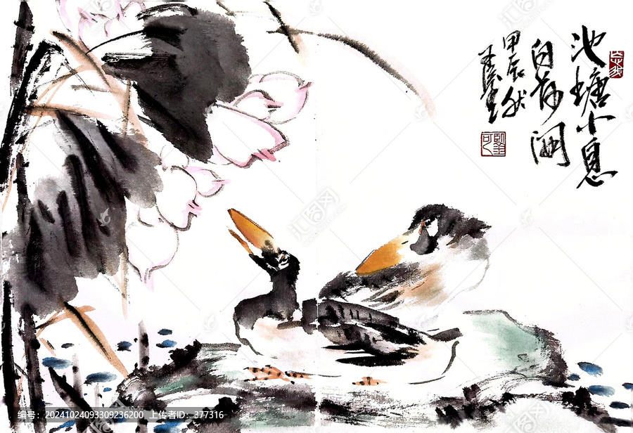 大寫(xiě)意荷花