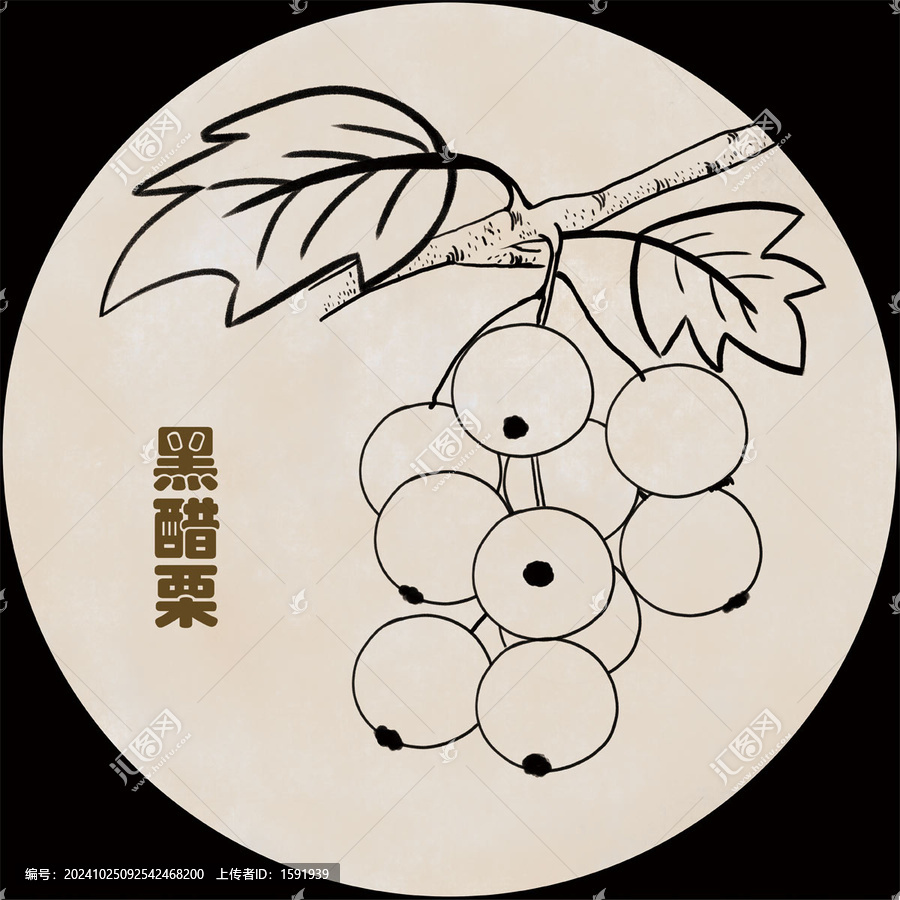 手繪黑醋栗線稿