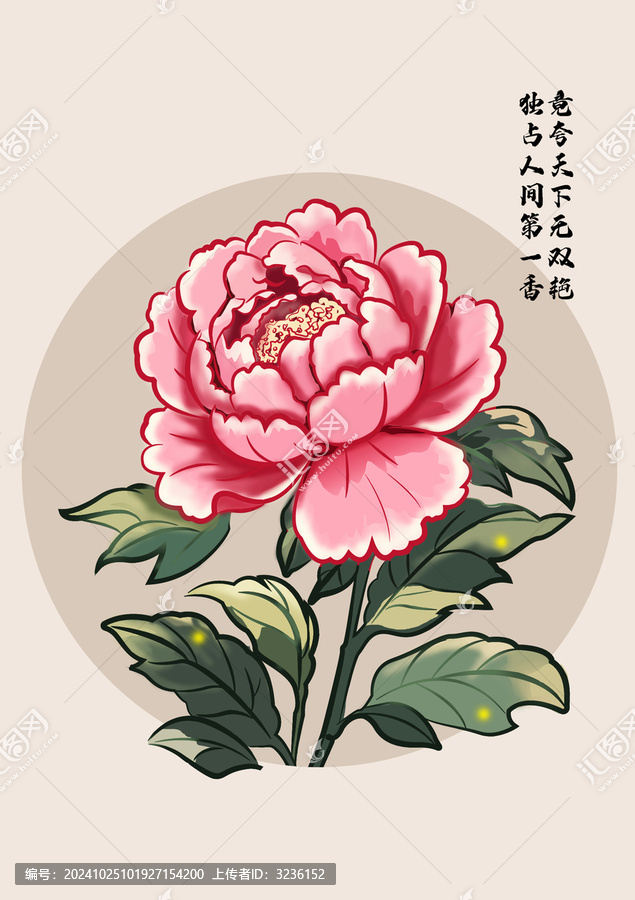 牡丹