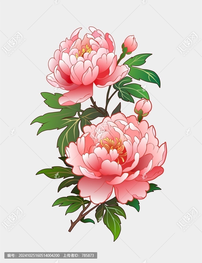 牡丹花