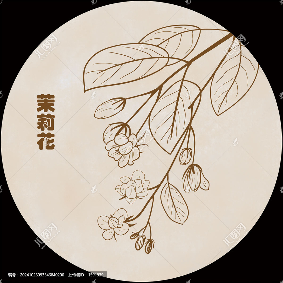 手繪茉莉花線稿