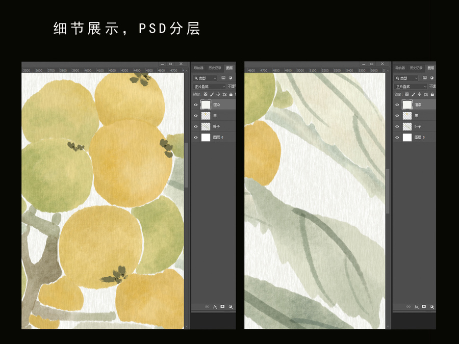 枇杷水墨插畫