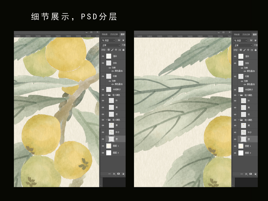 枇杷插畫水墨國(guó)畫