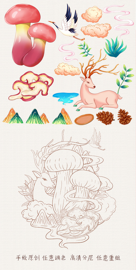 紅蔥牛肝菌插畫手繪