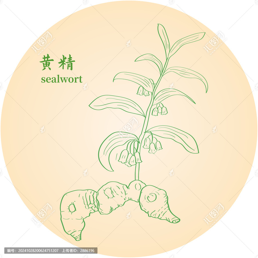 黃精