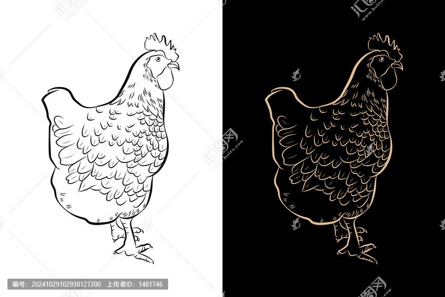 母雞高清插畫(huà)線描