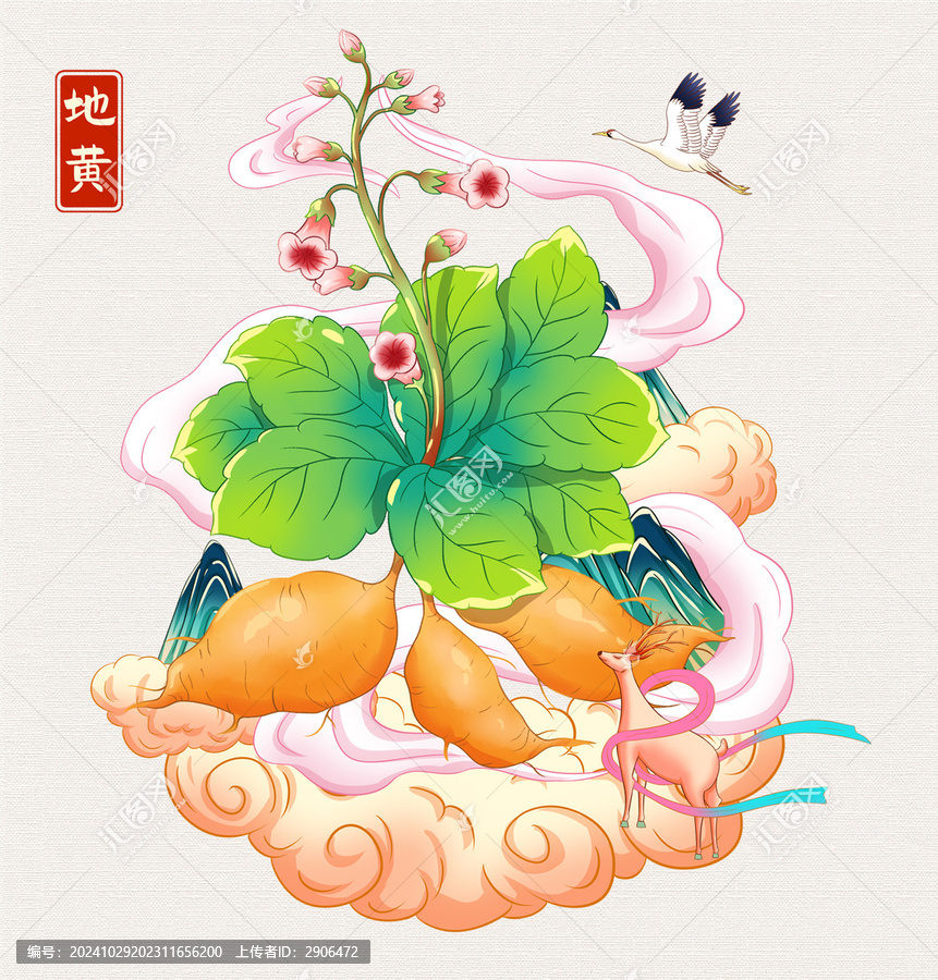 地黃草藥插畫手繪