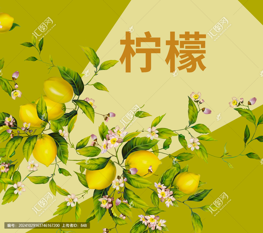 檸檬包裝設(shè)計