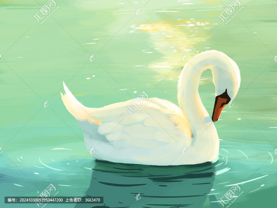 白天鵝