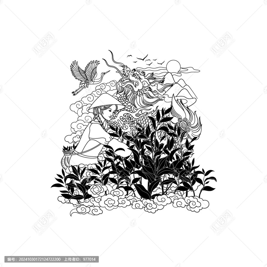 茶葉插畫