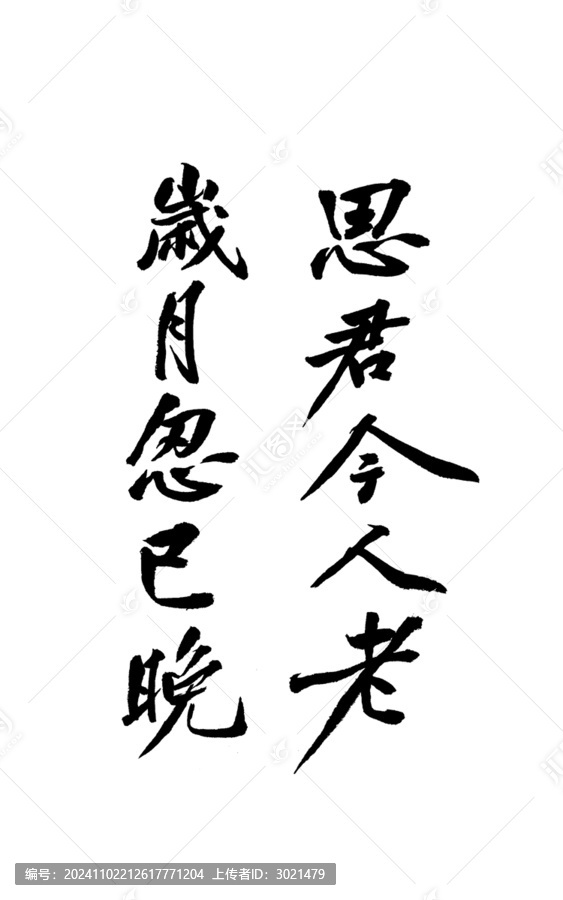 毛筆書法藝術字思君今人老
