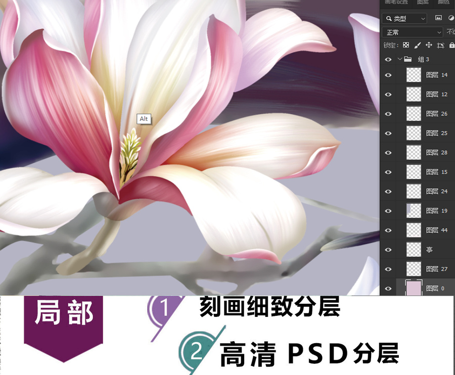 玉蘭花圖案設(shè)計(jì)