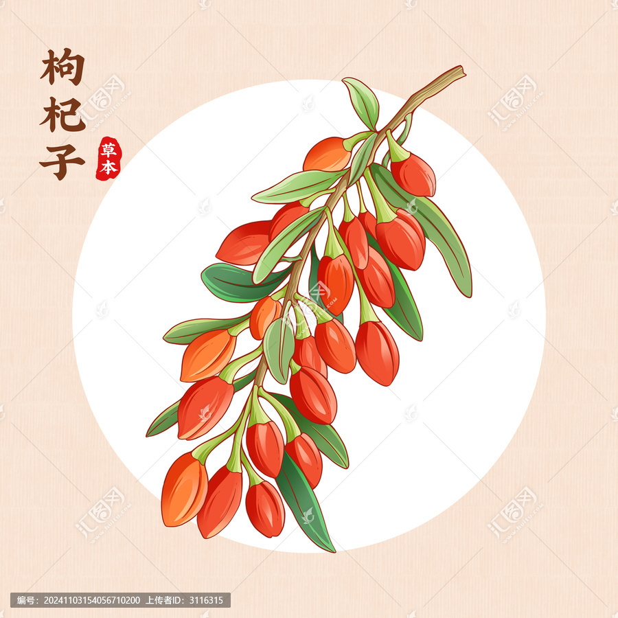 枸杞