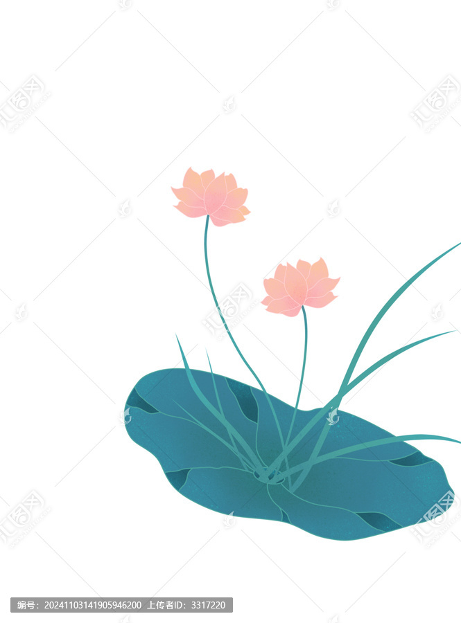 荷花