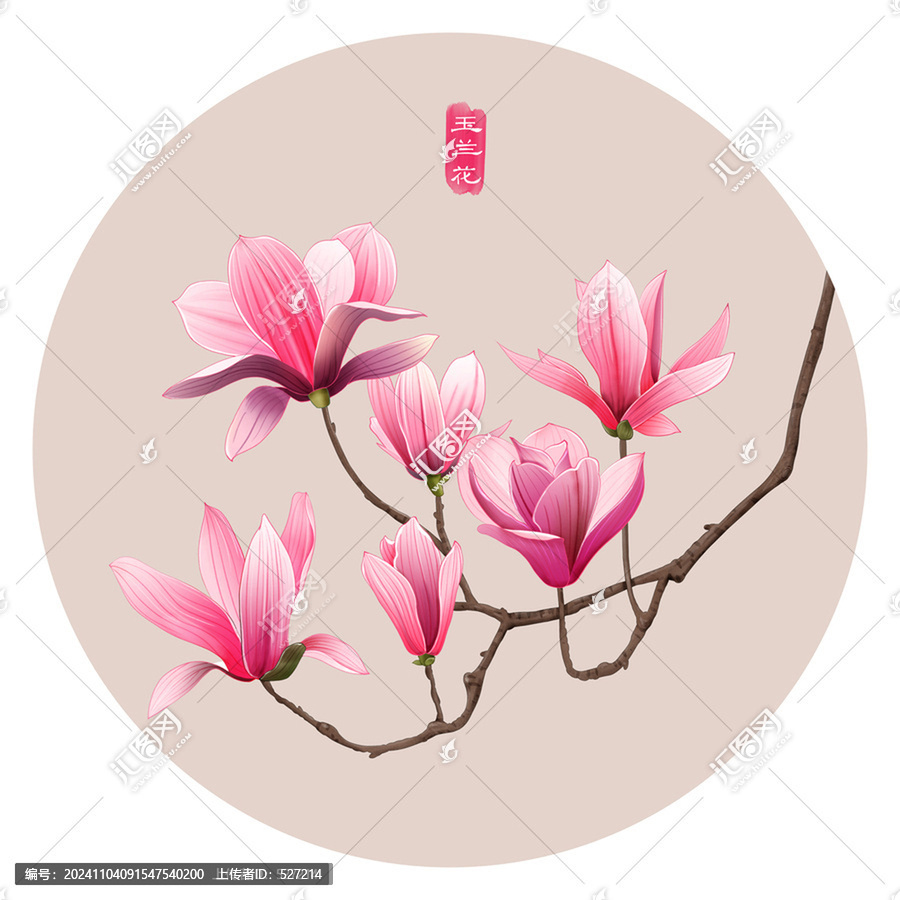 玉蘭花