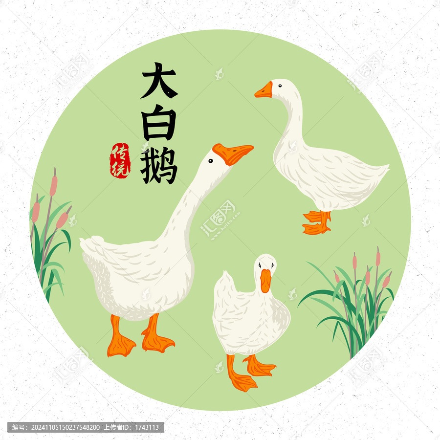 大白鵝插畫