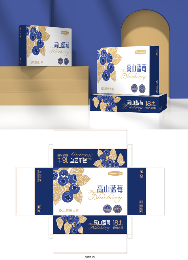 藍莓包裝設(shè)計