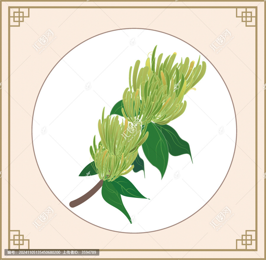 金銀花矢量素材