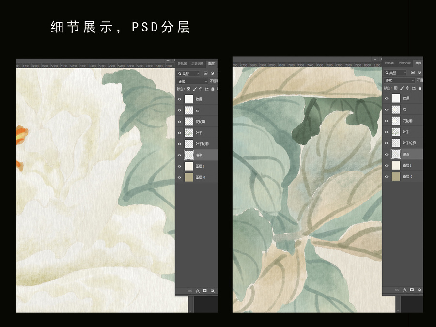 牡丹插畫