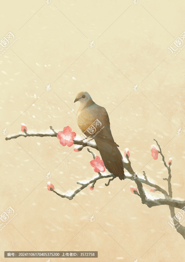 斑鳩