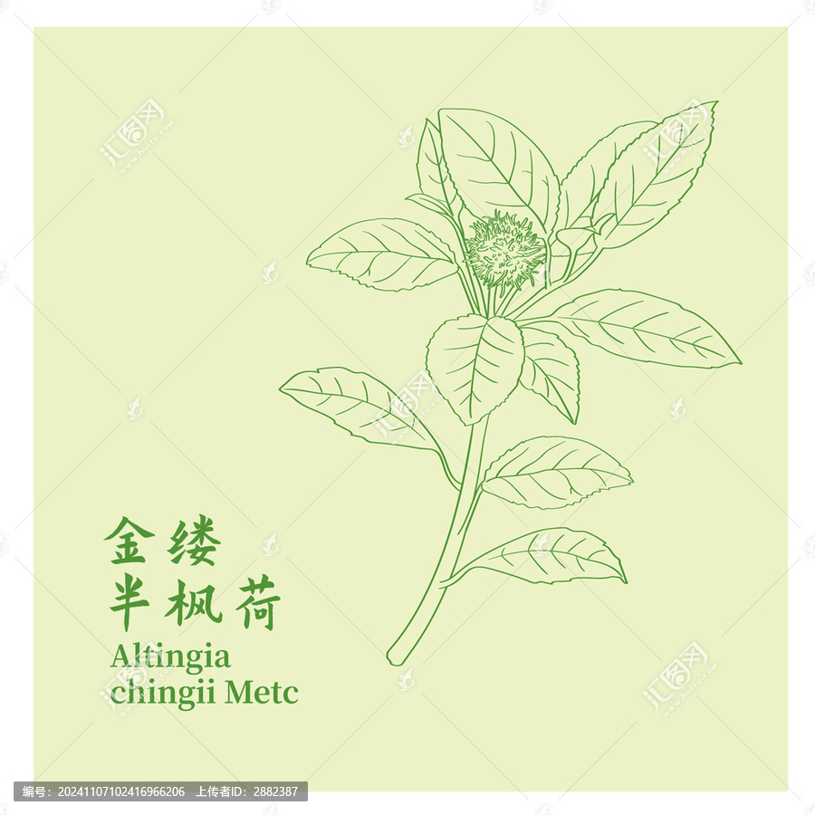 金縷半楓荷