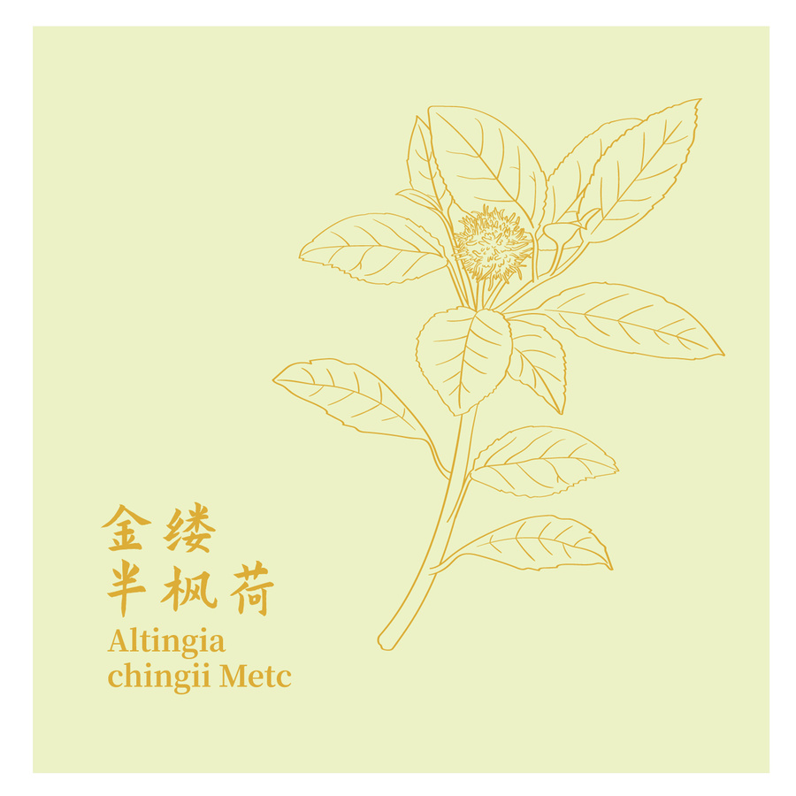 金縷半楓荷